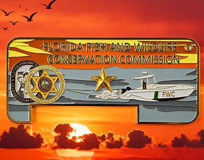 Custom Standard Coin